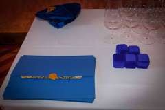 SAC gala 2025 photos by KEN SHUNG